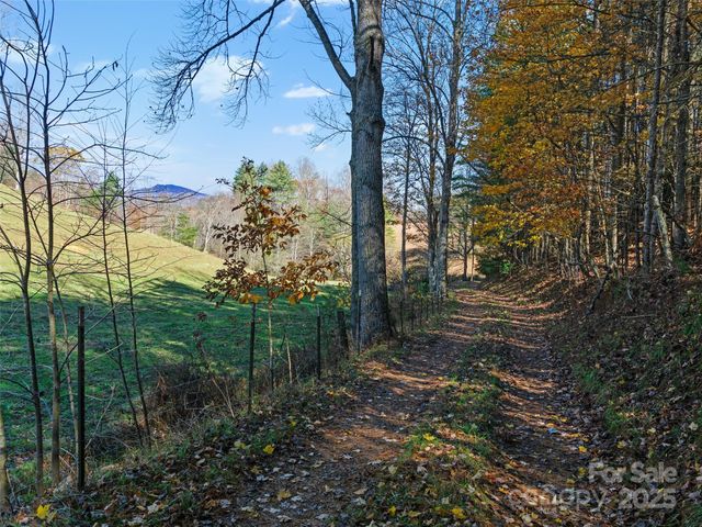 321 Lyle Lane, Green Mountain, NC 28740