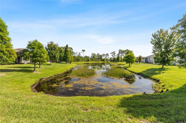 13208 FAWN LILY DRIVE, Riverview, FL 33579