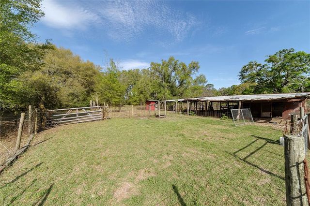 7541 NE 349 HIGHWAY, Old Town, FL 32680