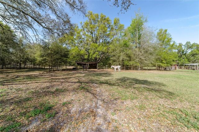 7541 NE 349 HIGHWAY, Old Town, FL 32680
