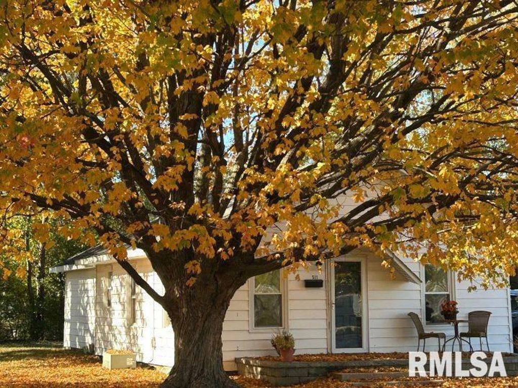 Image 28 of property listing at 511 N SHELBY Street, Salem, IL 62881