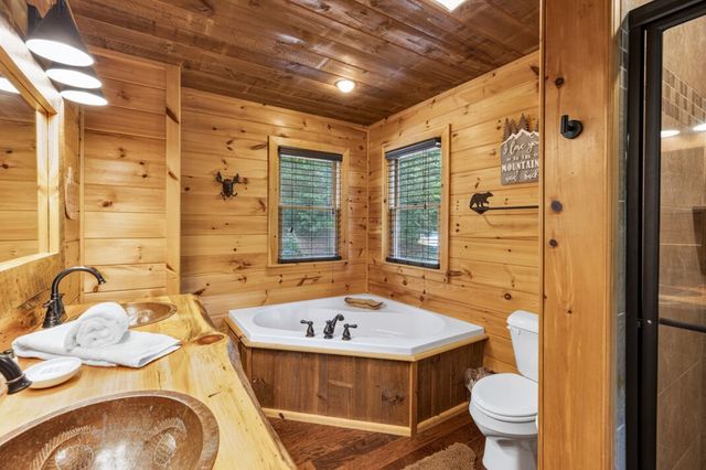 262 White Pine Acres Drive, Blue Ridge, GA 30513