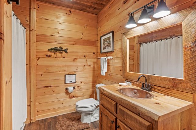 262 White Pine Acres Drive, Blue Ridge, GA 30513