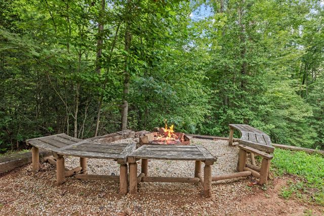 262 White Pine Acres Drive, Blue Ridge, GA 30513