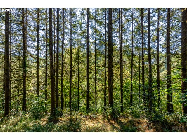 34889 HANKEY Rd, St Helens, OR 97051