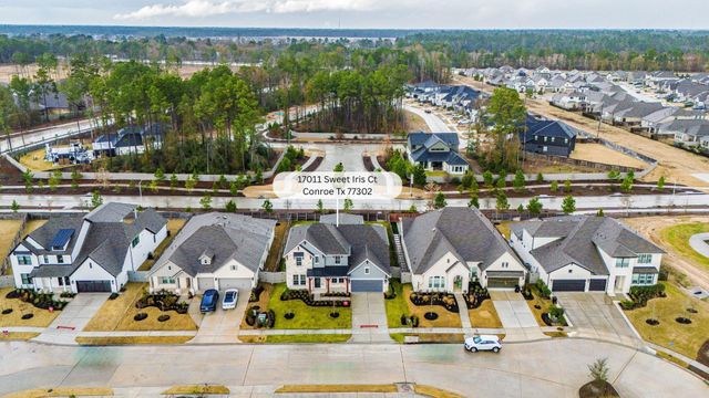 17011 Sweet Iris Court, Conroe, TX 77302