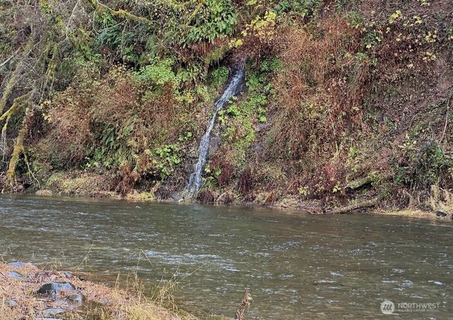 559 Upper Naselle Road, Naselle, WA 98638