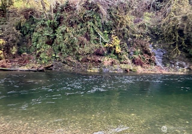 559 Upper Naselle Road, Naselle, WA 98638