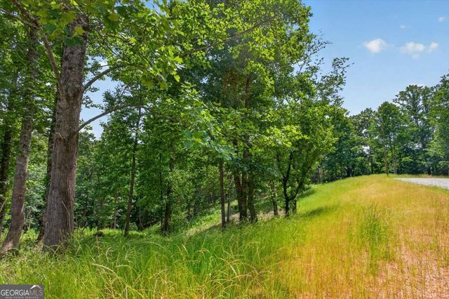 0 Conns Creek Road 6, Ball Ground, GA 30107