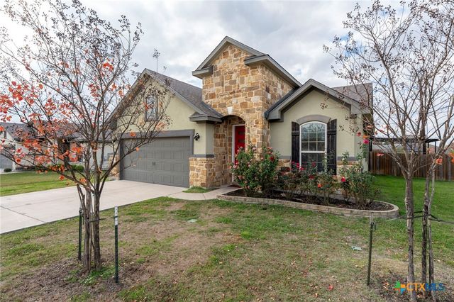 19300 Elk Horn Drive, Pflugerville, TX 78660