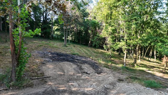 2090 Wild Cherry Dr, Lewisburg, TN 37091