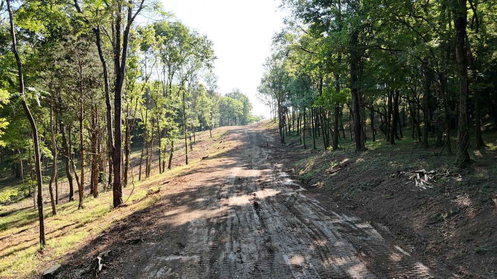 2090 Wild Cherry Dr, Lewisburg, TN 37091