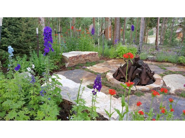 218 Windflower Ln, Frisco, CO 80443