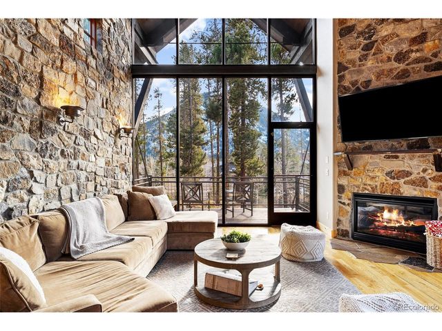 218 Windflower Ln, Frisco, CO 80443