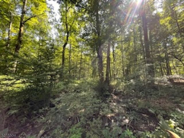 29 Elm Ave, Warren Twp., NJ 07059