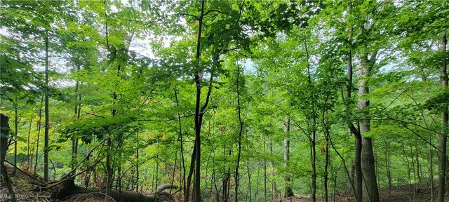 22601 Harms Road, Cleveland, OH 44143