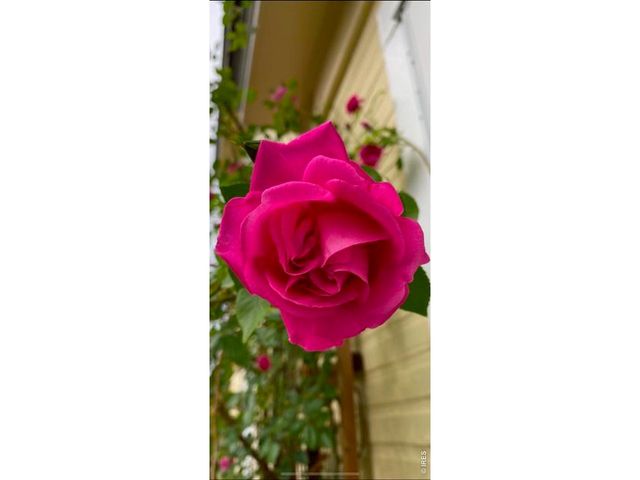 225 Edwards St, Fort Collins, CO 80524