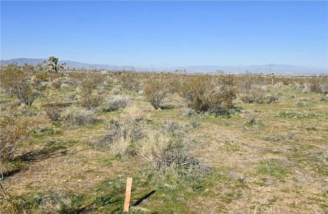 105 E Ave V8 & 106th E, Pearblossom, CA 93553