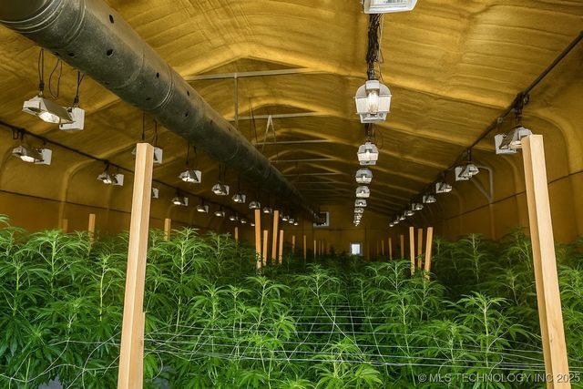 20211 Cedar Road, Morris, OK 74437