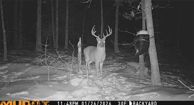 305 County Road 2664, Eureka Springs, AR 72631