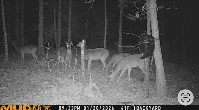 305 County Road 2664, Eureka Springs, AR 72631