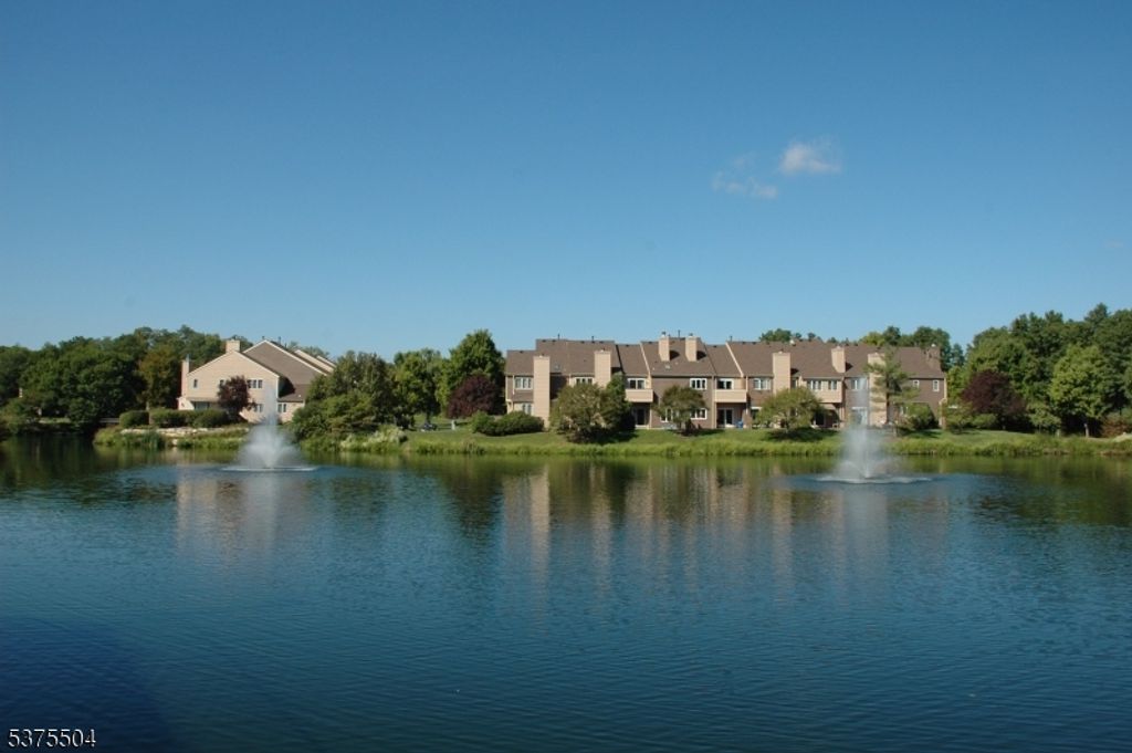 20 Bedford Ct, Madison Boro, NJ 07940