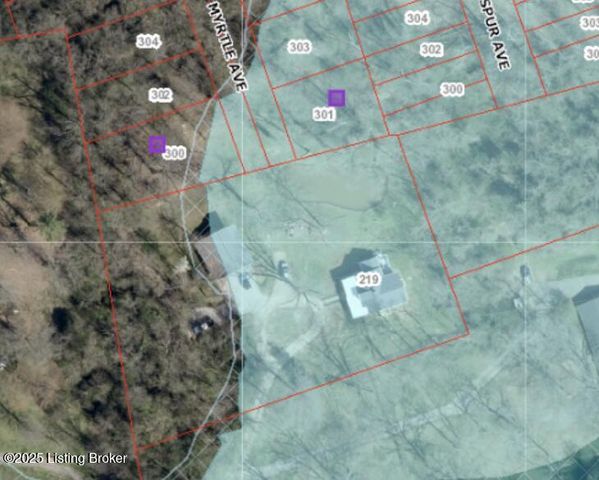 219 Wood Rd, Lyndon, KY 40222