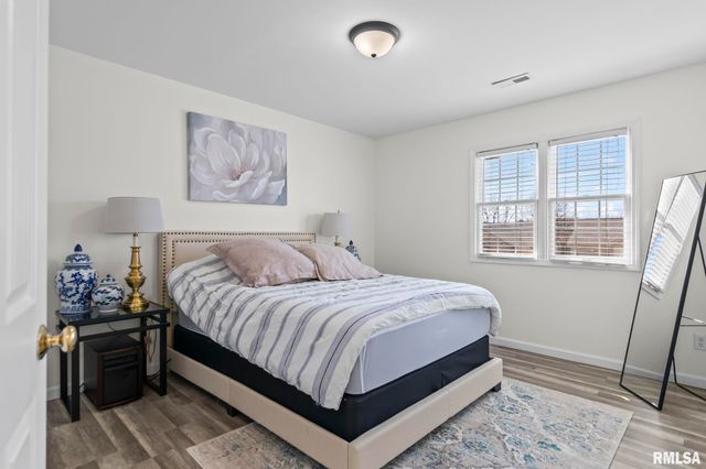 308 Winter Park Drive, Chatham, IL 62629