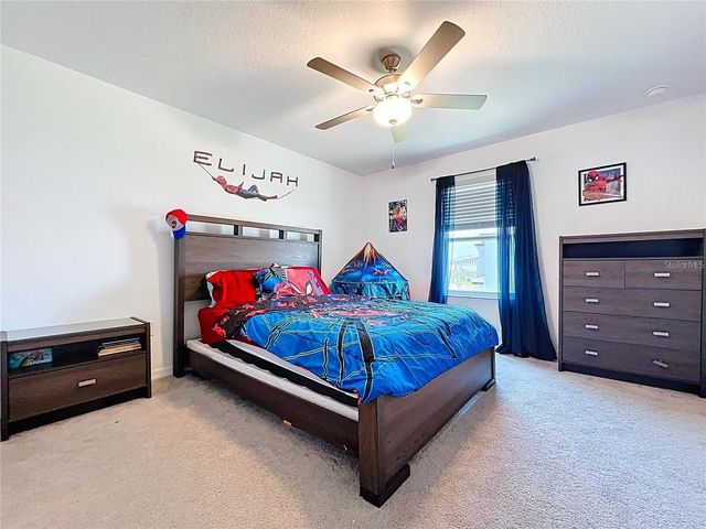 32046 POWDERPUFF MIMOSA DRIVE, San Antonio, FL 33576