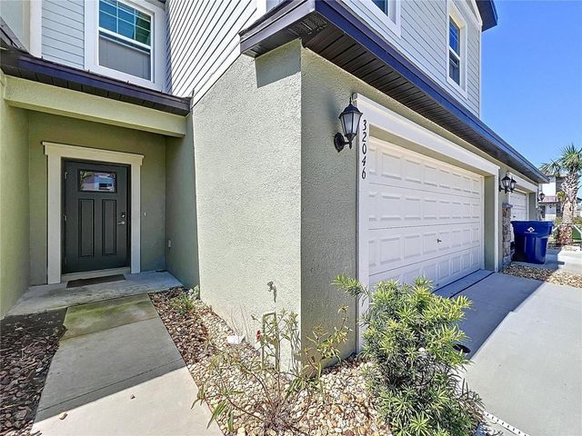 32046 POWDERPUFF MIMOSA DRIVE, San Antonio, FL 33576