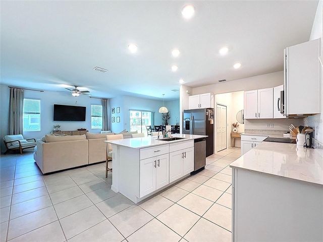 32046 POWDERPUFF MIMOSA DRIVE, San Antonio, FL 33576