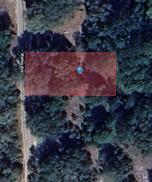 00 Maltas Ave LOT 7, Interlachen, FL 32148