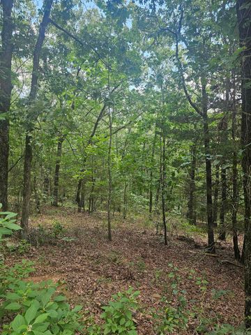 308 W Fifth Avenue, Perry, AR 72125