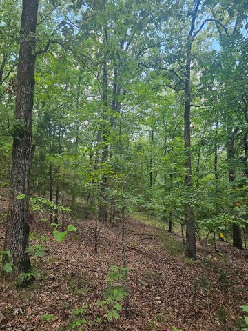 308 W Fifth Avenue, Perry, AR 72125