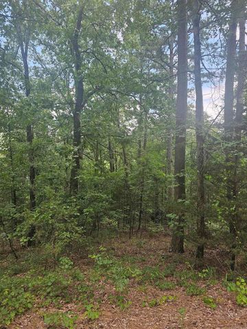 308 W Fifth Avenue, Perry, AR 72125