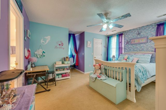 1933 Birchwood Road, Kingsport, TN 37660