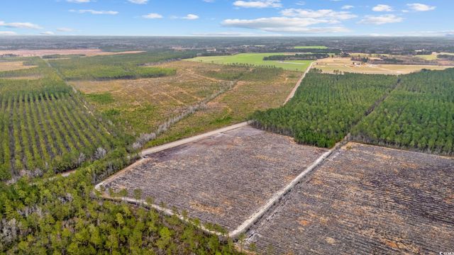 TBD Joyner Swamp Rd., Galivants Ferry, SC 29544