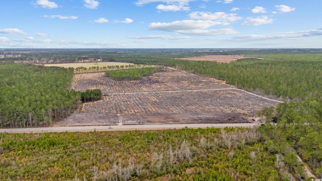 TBD Joyner Swamp Rd., Galivants Ferry, SC 29544