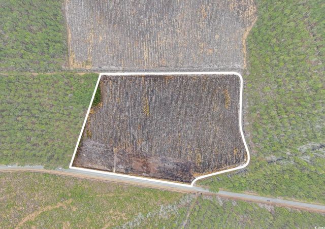 TBD Joyner Swamp Rd., Galivants Ferry, SC 29544