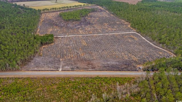 TBD Joyner Swamp Rd., Galivants Ferry, SC 29544