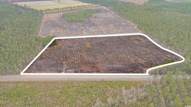 TBD Joyner Swamp Rd., Galivants Ferry, SC 29544