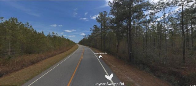 TBD Joyner Swamp Rd., Galivants Ferry, SC 29544