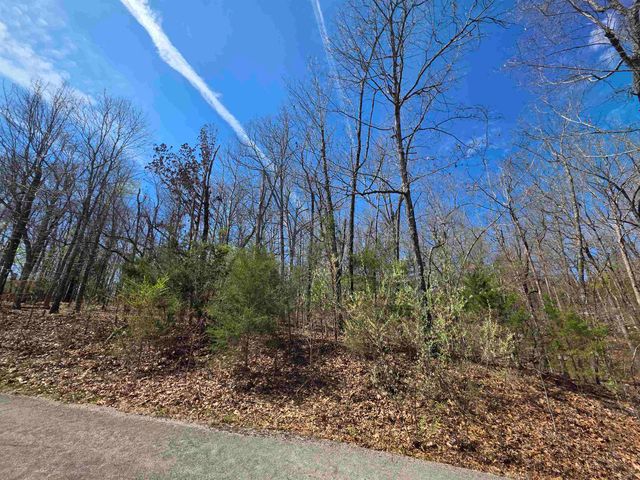 L-61 B-10 Oklahoma Circle, Cherokee Village, AR 72529