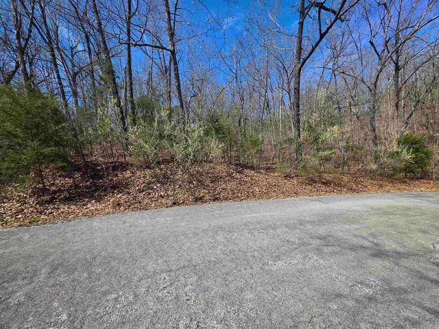 L-61 B-10 Oklahoma Circle, Cherokee Village, AR 72529