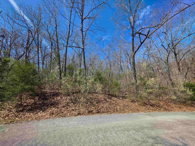 L-61 B-10 Oklahoma Circle, Cherokee Village, AR 72529