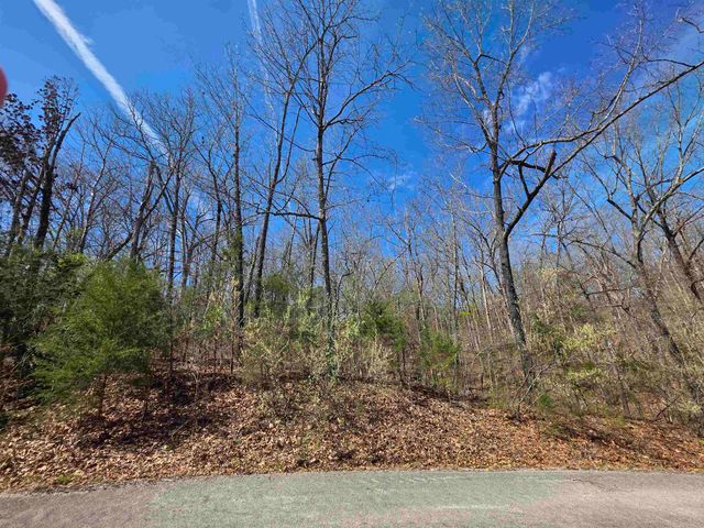 L-61 B-10 Oklahoma Circle, Cherokee Village, AR 72529