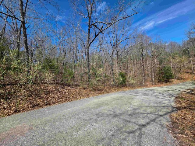 L-61 B-10 Oklahoma Circle, Cherokee Village, AR 72529