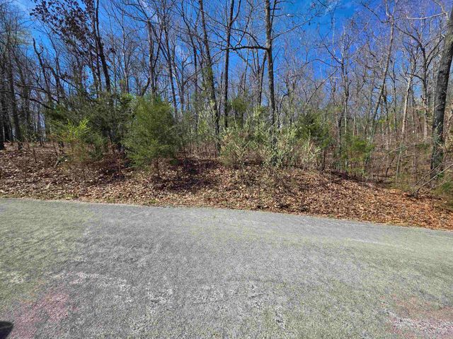 L-61 B-10 Oklahoma Circle, Cherokee Village, AR 72529