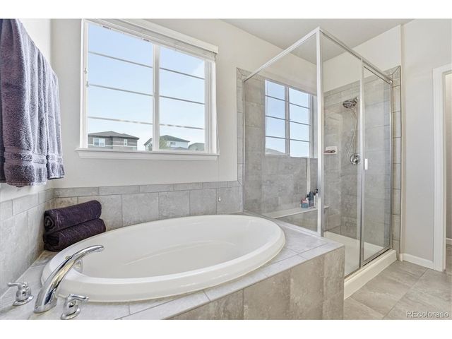 3308 Riverwood Way, Castle Rock, CO 80109