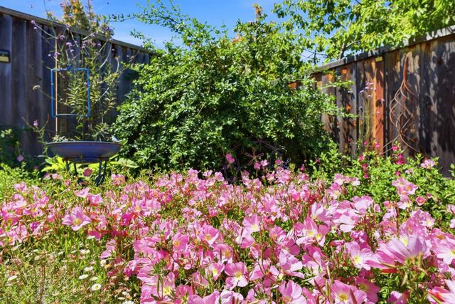 33986 Capulet Circle, Fremont, CA 94555